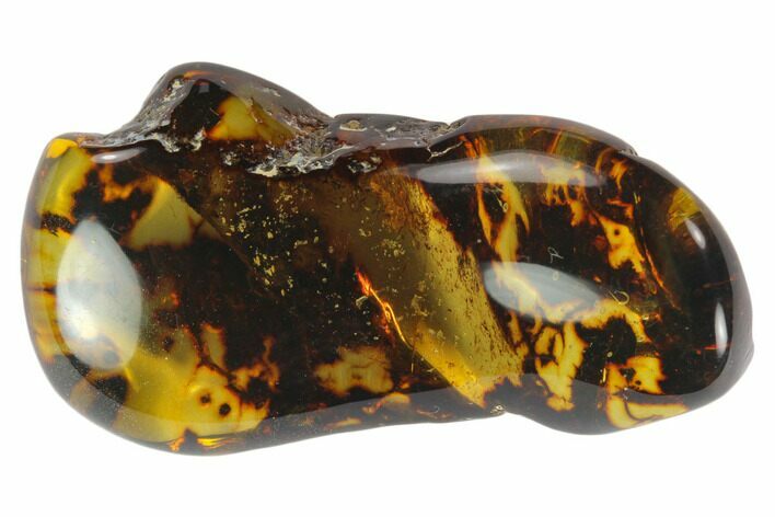 Polished Chiapas Amber ( g) - Mexico #114803